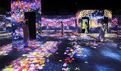 DigitalArtMuseum_00.jpg